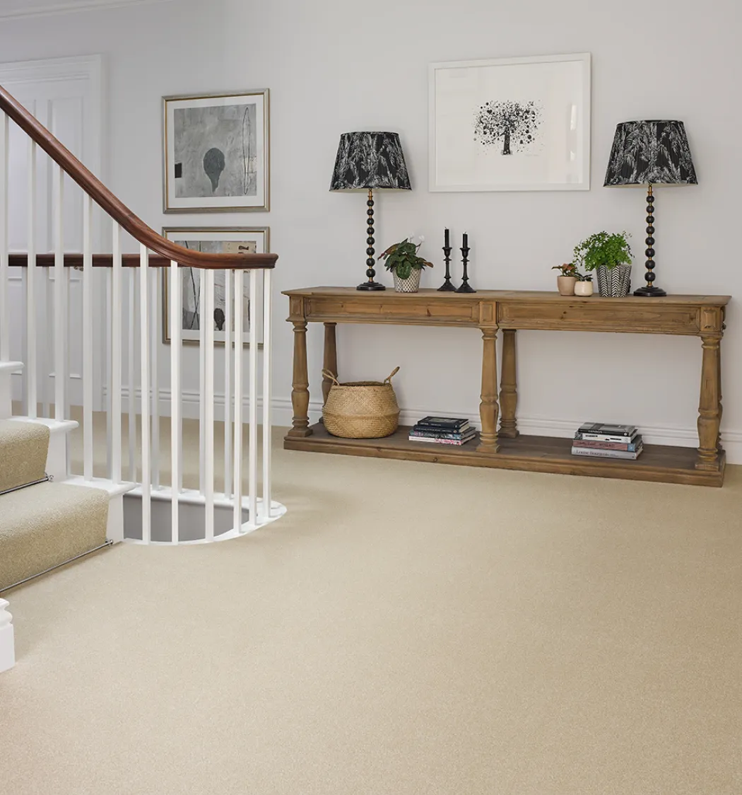 Carpets Top